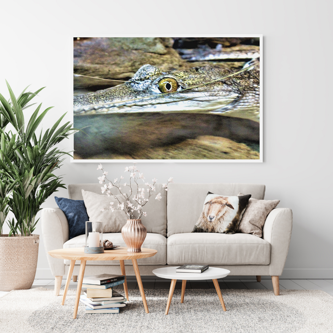 Fresh Water Crocodile original abstract contextualised office art modern decor photo print by Blair Montague Drake
